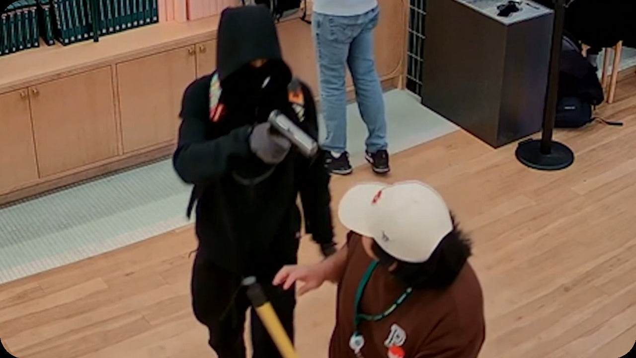 Armed Robbers Steal $100,000 of Pokémon Merchandise