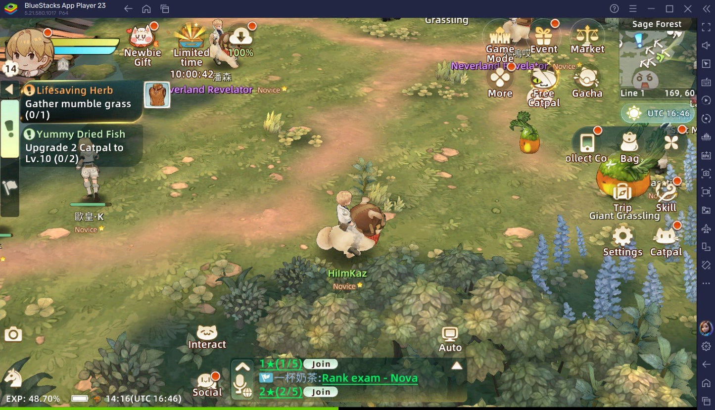 Tree of Savior